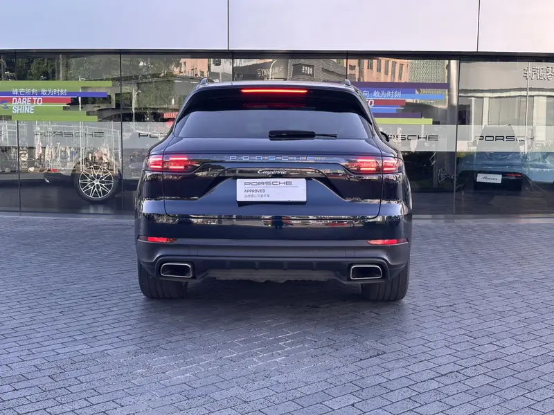 Porsche Cayenne 3.0 T Platinum — фото 6