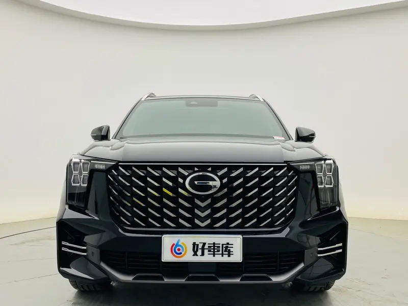 Trumpchi GACTrumpchi GS8 — фото 2