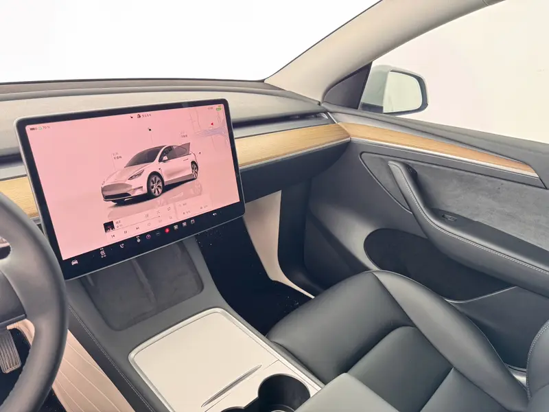 Tesla Model Y — фото 12