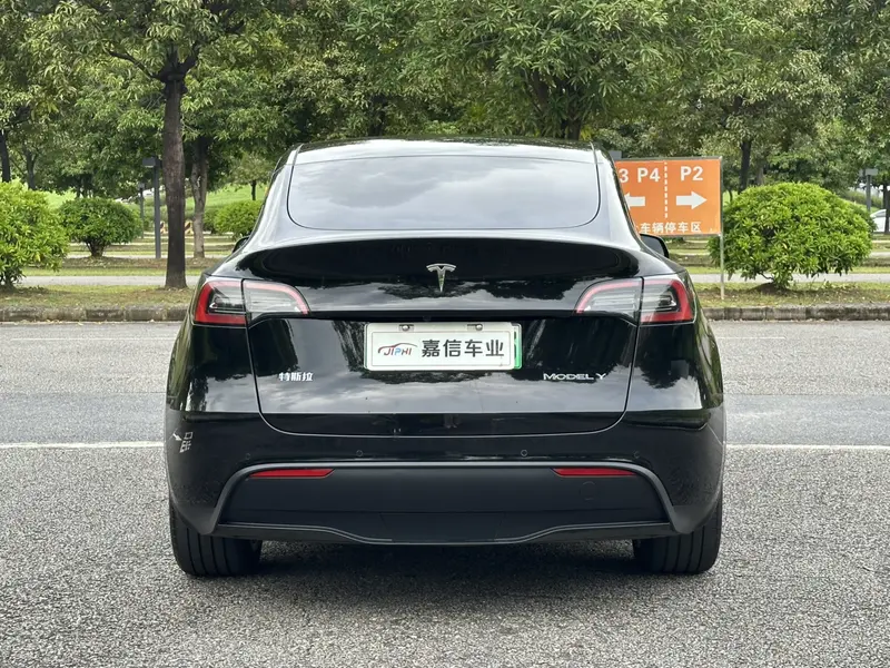 Tesla Model Y — фото 5