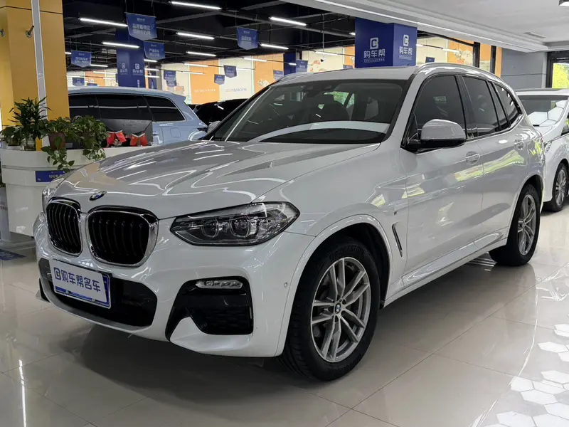 BMW X 3 x Drive 25i M Sport Package VI