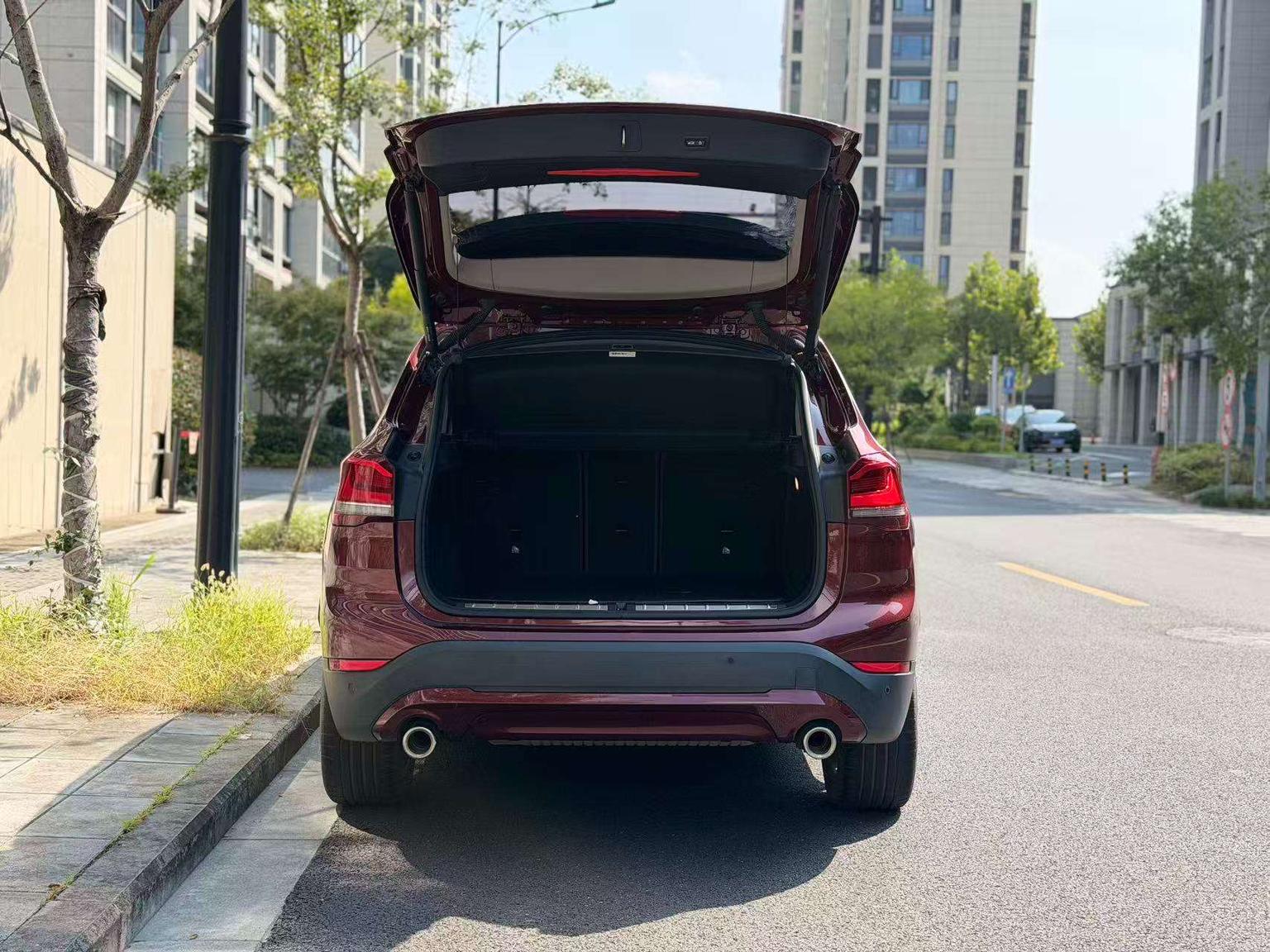 BMW X1 2020 sDrive25Li Lead