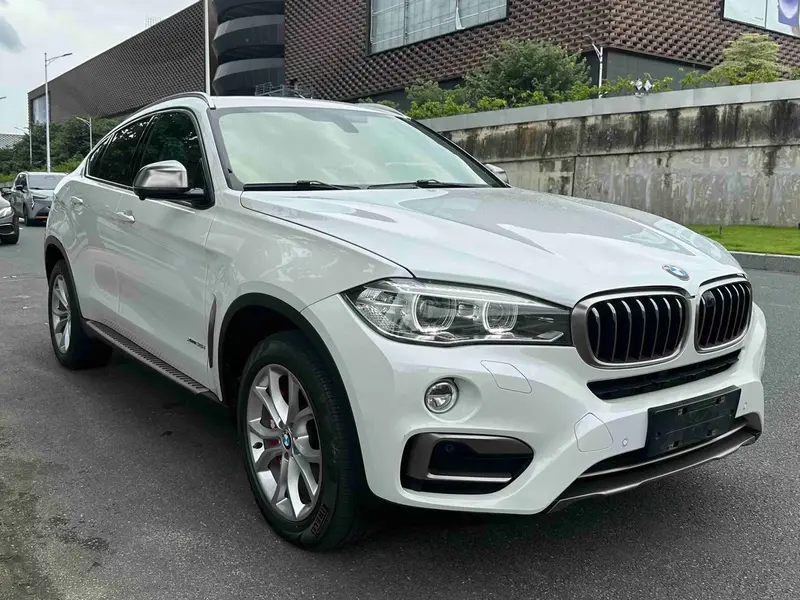 BMW X6 xDrive35i продвинутая — фото 3
