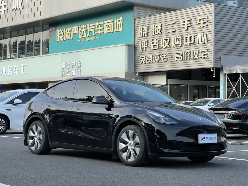 Tesla Model Y — фото 3
