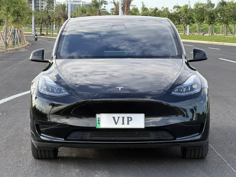 Tesla Model Y — фото 2
