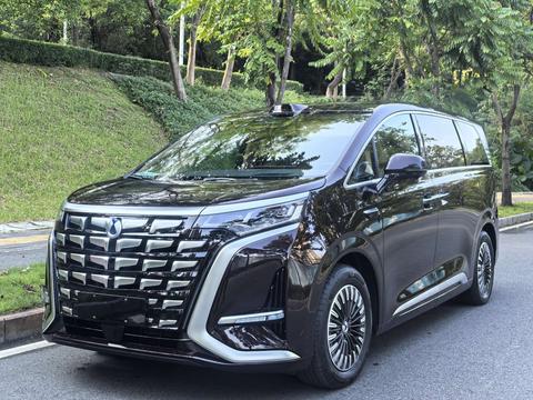 DENZA D9 EV