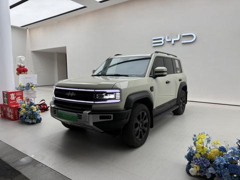 FANGCHENGBAO BAO 5
