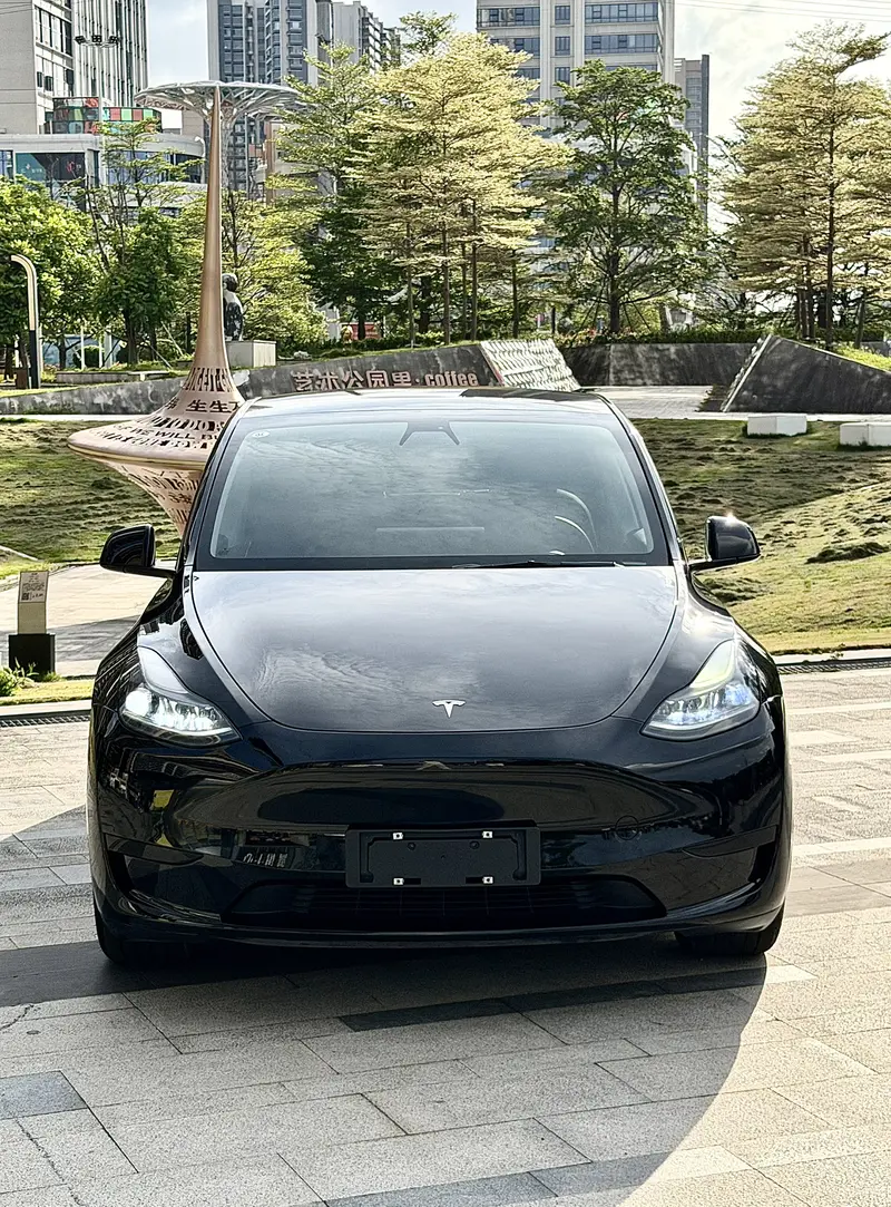 Tesla Model Y — фото 2