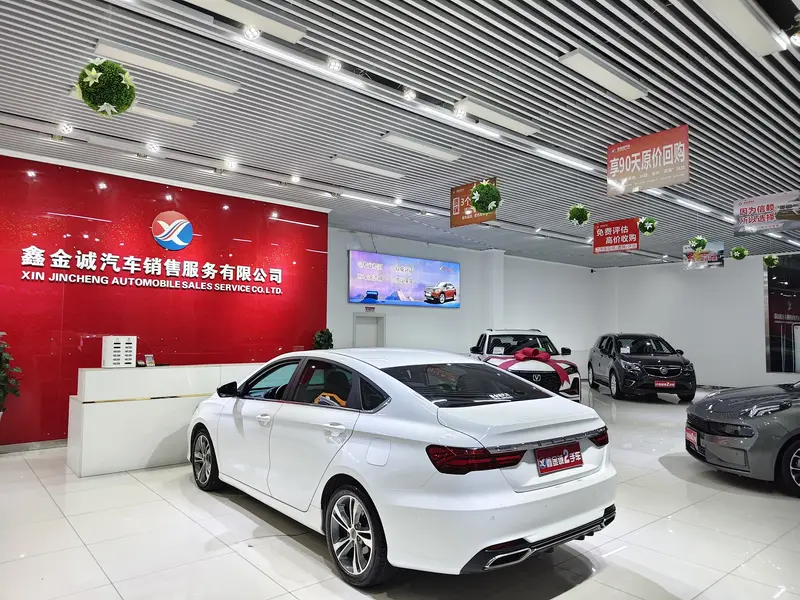 Geely Binrui — фото 5