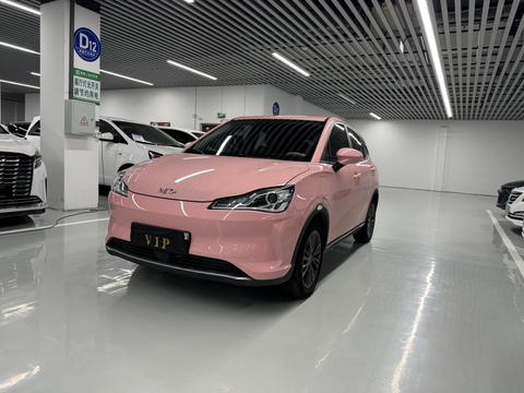 Neta V