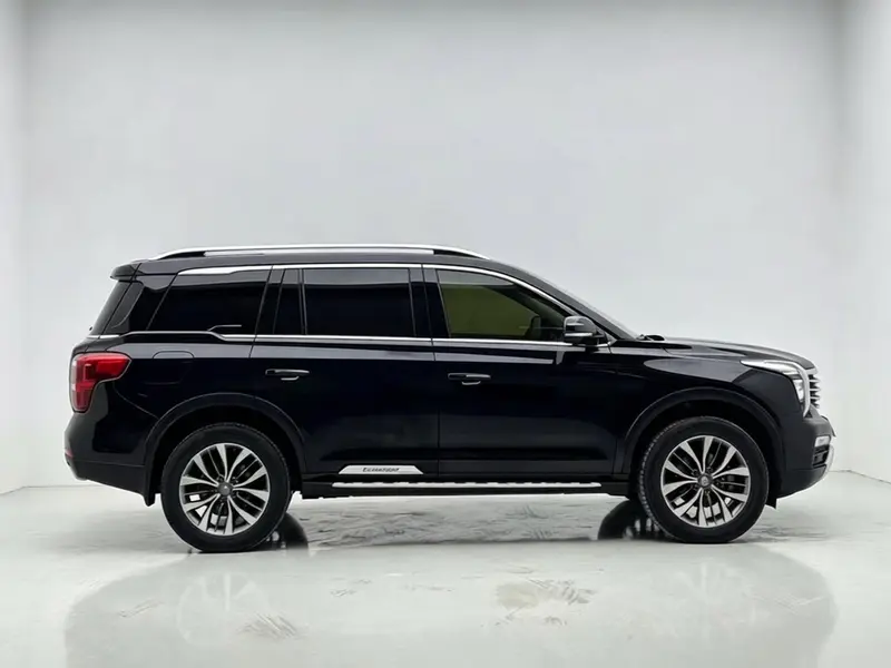 GACTrumpchi GS8 — фото 8