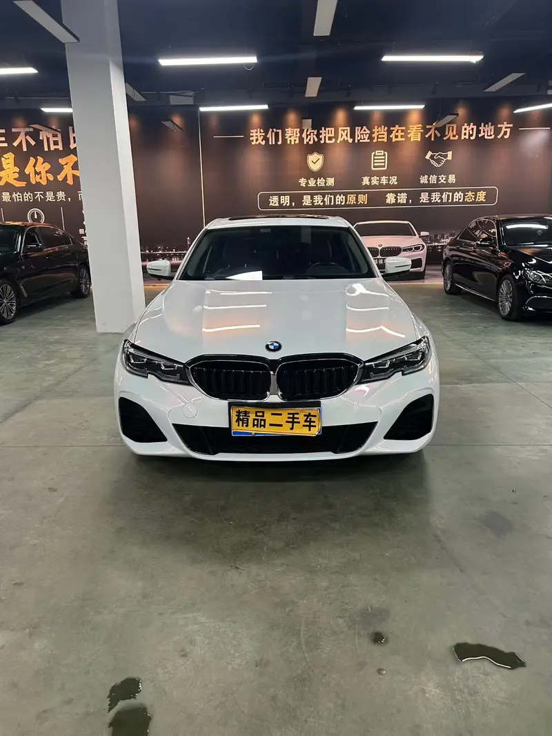 BMW 3 Series 320Li M спортпакет — фото 2