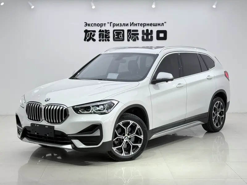 BMW X 1 s Drive 20 Li