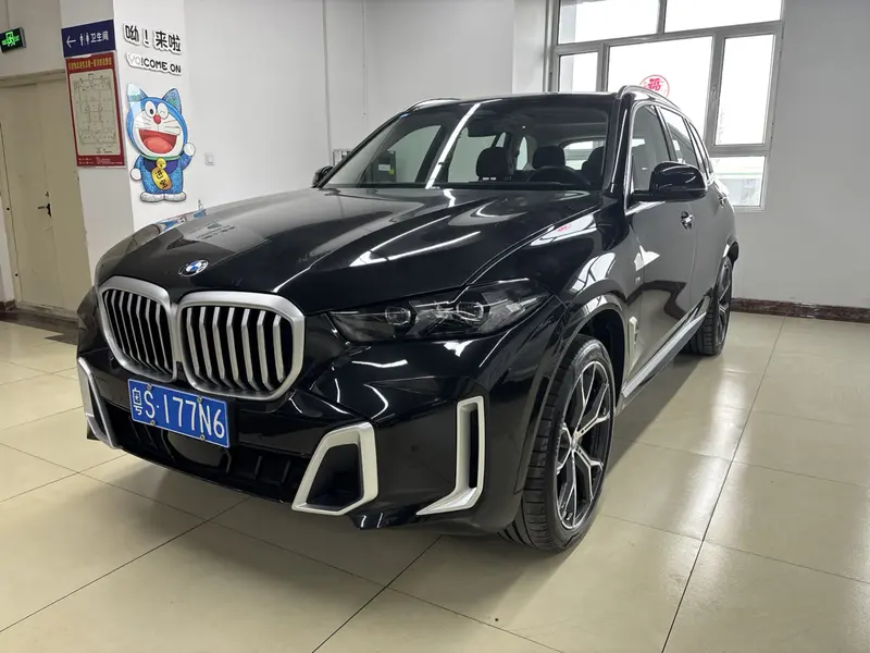 BMW X 5 x Drive 30 Li M Sport Package