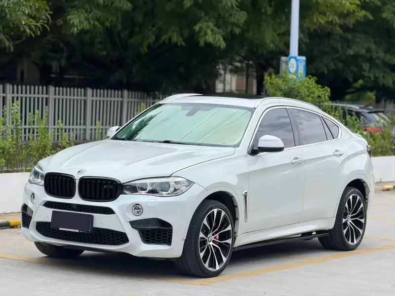 BMW X 6 x Drive 28i