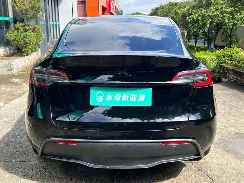 Tesla Model Y — фото 6