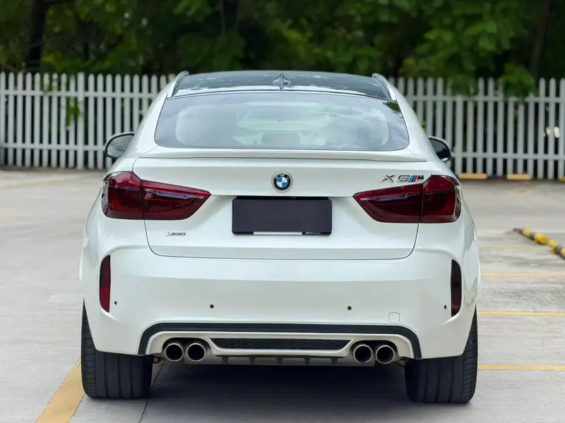 BMW X6 xDrive28i — фото 5