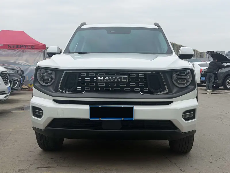 Haval Dargo Plus — фото 2