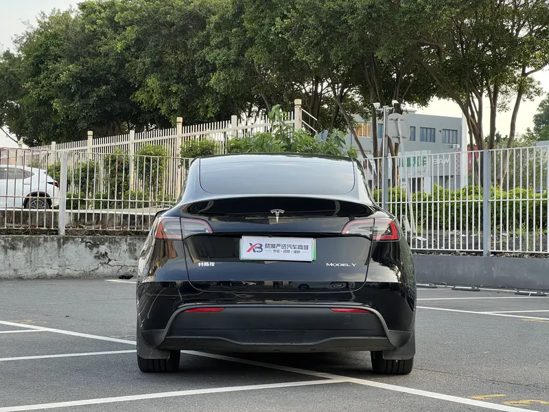 Tesla Model Y — фото 6