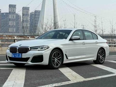 BMW 5 Series (Import), 2021 год
