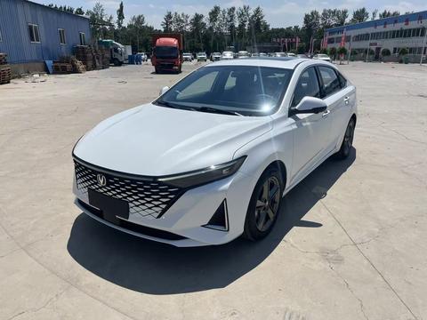 Changan Raeton PLUS, 2023 год