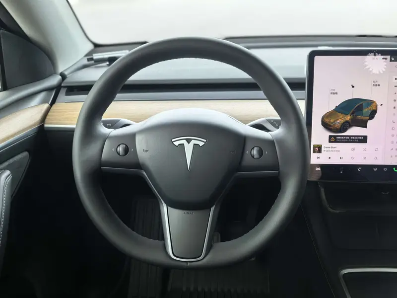 Tesla Model Y — фото 9
