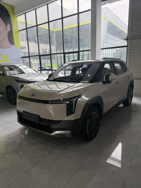 Dongfeng Nano 06