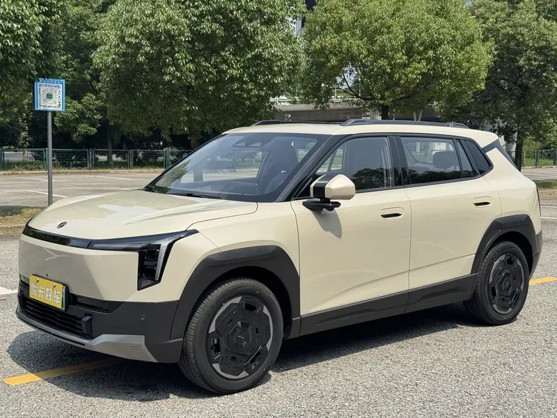 Dongfeng Nammi 06