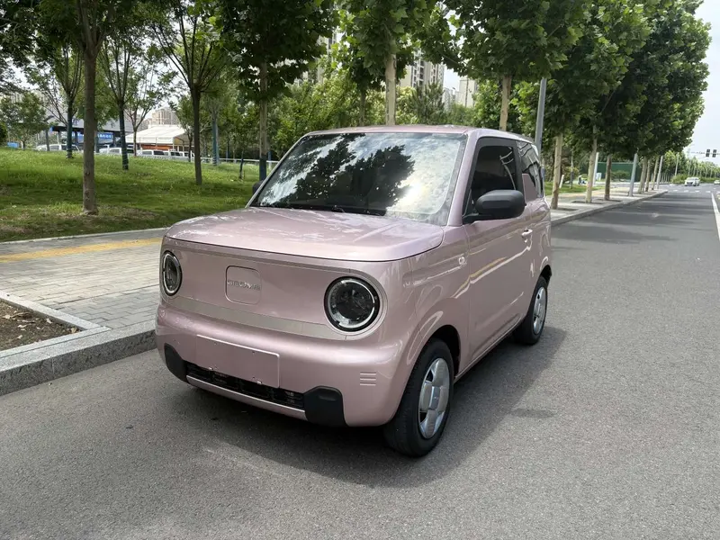 Geely Galaxy Panda