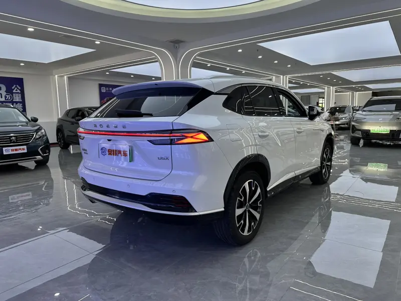 Roewe D5X DMH — фото 6