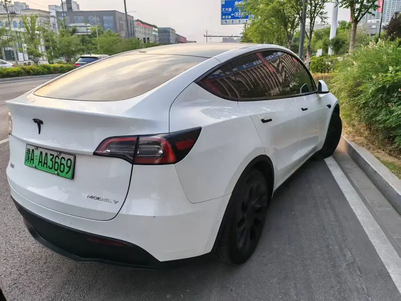 Tesla Model Y — фото 2
