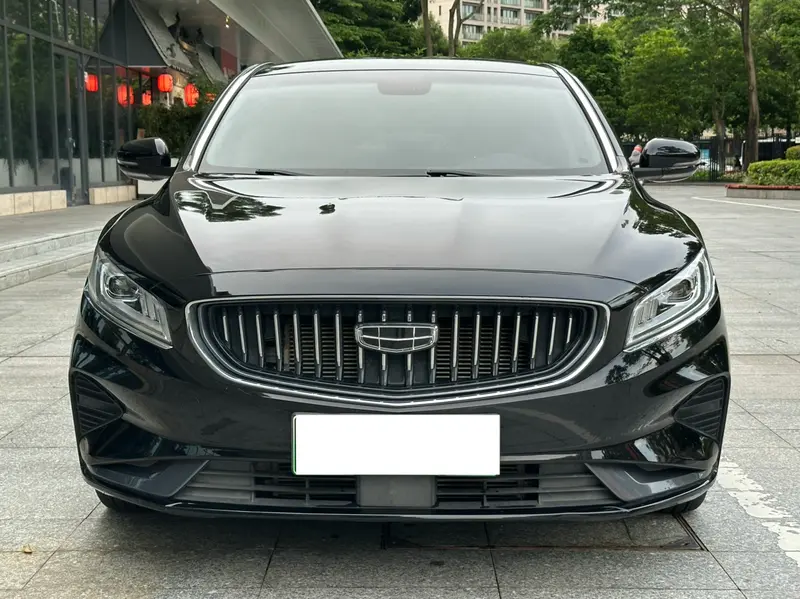 Geely Borui ePro — фото 2