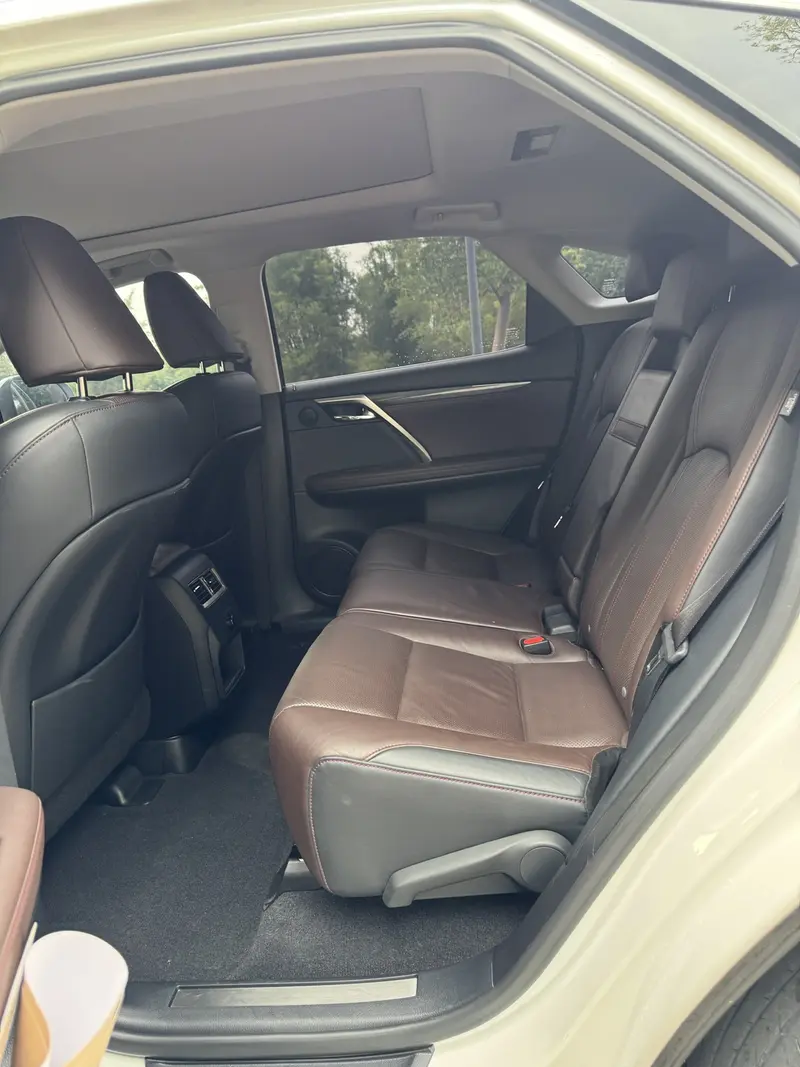 Lexus RX — фото 11