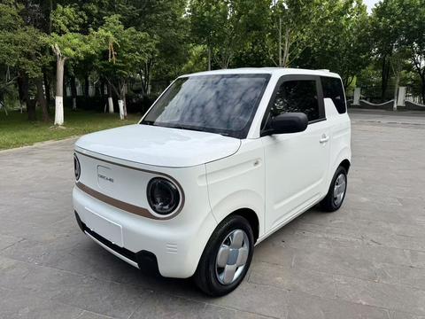 Geely Galaxy Panda