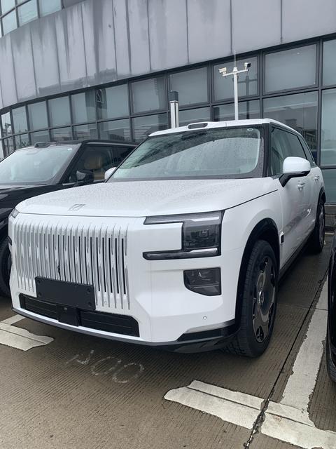 2025 ZEEKR 极氪 9X 70 kWh
