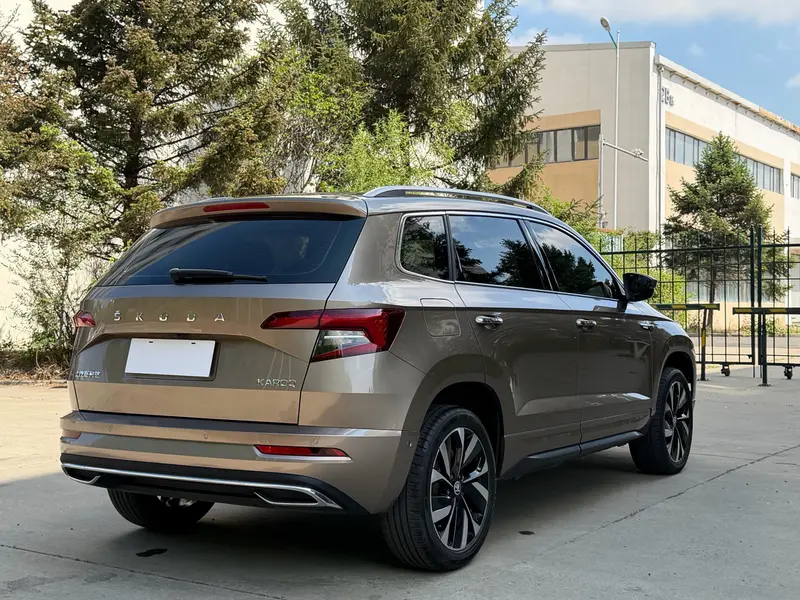 Skoda Karoq — фото 7