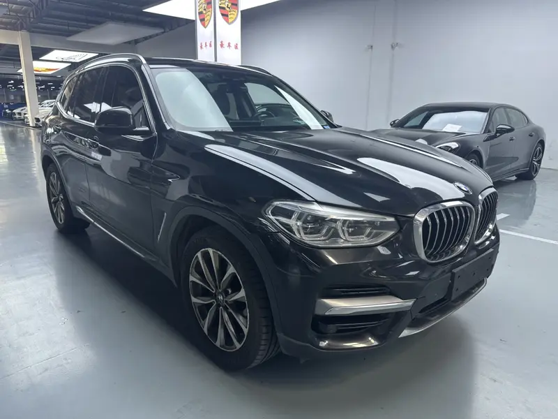 BMW X3 xDrive25i люкс-пакет — фото 3