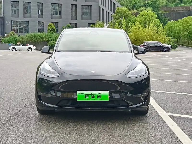 Tesla Model Y — фото 2