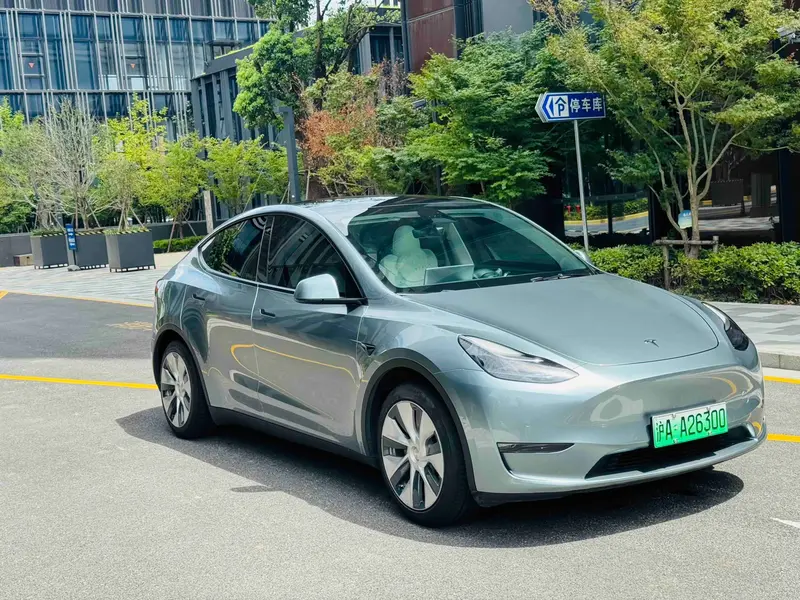 Tesla Model Y — фото 3